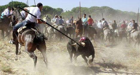 Protesters stoned at Spain’s ‘cruelest’ festival