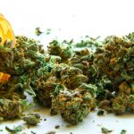 Italian army moves to produce cannabis drugs