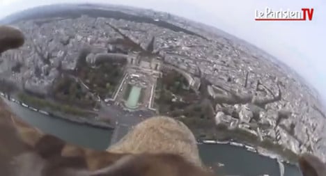 VIDEO: Eagle captures bird's eye view of Paris