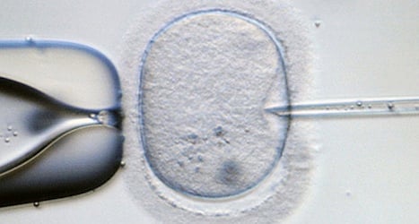 Fertility problems hit one in five Austrian couples