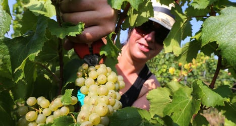 French Indian summer could mean great wine
