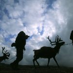 An Arctic tradition: hunting and handicraft
