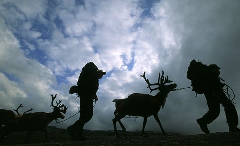 An Arctic tradition: hunting and handicraft