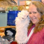 US woman starts up Swedish toy store online