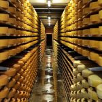 Cheese disaster spells misery for Fribourg dairy