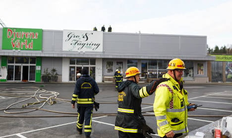 Animals dead after pet store catches fire