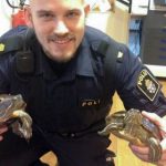 Homeless turtles get Stockholm police ride