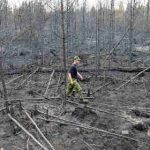 Forest fire zone becomes ‘tourist hit’ for Sweden
