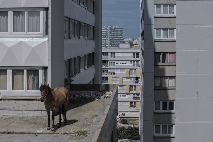 ‘Every Sunday’ – Extraordinary images of ordinary life in the poor Paris suburbs