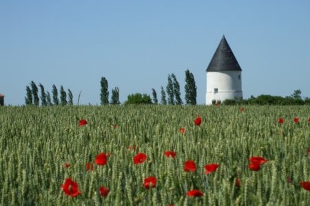 French Property Face-off – An old mill in the Vendée or an old barn in Limousin?