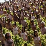 <b>Wine buff:</b> Scores of naked people posed for US photographer Spencer Tunick in a Bourgogne (Burgundy) vineyard in 2009. He's made a career out of convincing people to shed their clothes for his pictures.Photo: afp