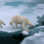 Norway must react to IPCC climate report