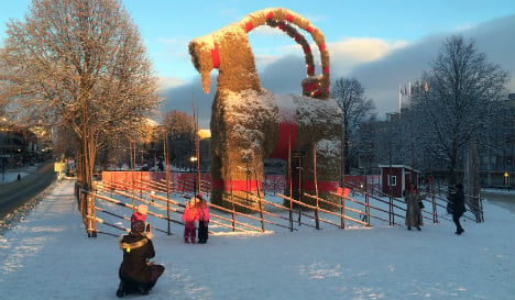Sweden's Christmas goat survives holidays