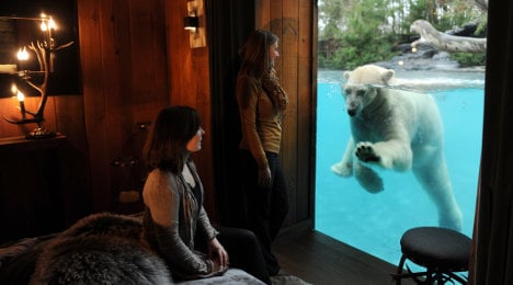 French zoo offers 'night at home' with polar bear