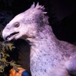 Harry Potter exhibition is heading to France