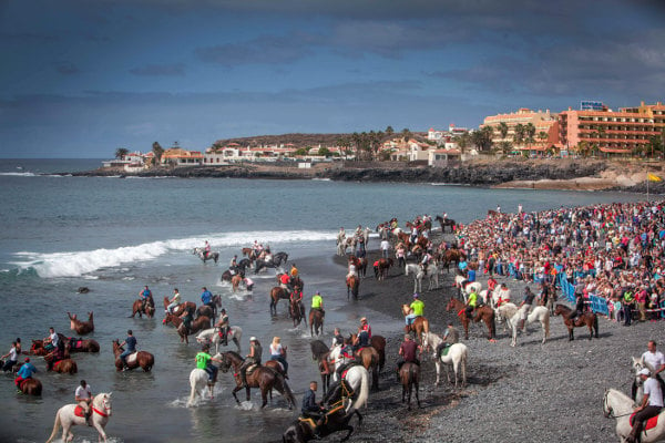 In pics: Tenerife’s blessing of the horses