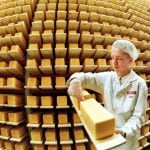 <b>Holsteiner Tilsiter</b> – this classic German cheese, made both in wheels and blocks, is ripened for six months before it's ready to eat. Relatively soft and moist, it often has grain-sized holes. Depending on the batch it can taste quite mild or very strong.Photo: DPA
