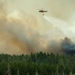 Report: mistakes made in Swedish forest fire fight
