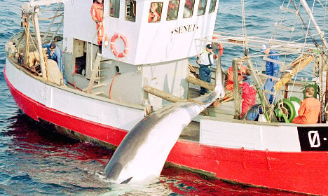 Japan dumps ‘unsafe’ Norway whale meat