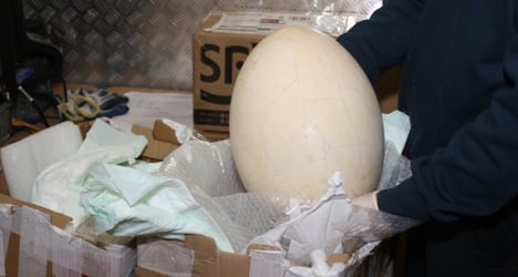 Giant prehistoric egg seized at Italian airport