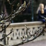 Sweden in for ‘warmer than usual’ spring