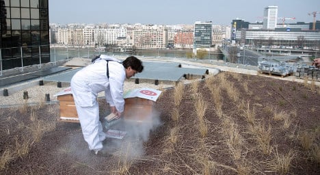 New rooftops to go green all over France
