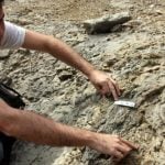 Dinosaur eggs destroyed at major dig site