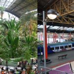 ATOCHA vs VICTORIA: Atocha is not just a state of the art transportation hub, the setting off point in the capital of the high-speed AVE, it also doubles as a botanical garden where travellers can laze beneath tropical palms and watch the terrapins. 
Victoria Station topped the worst railway stations in the UK in a 2009 poll. It is currently undergoing a massive redesign and will be encased in a futuristic glass bubble, promising to be a flagship terminal. But it's not open yet.
WINNER: MADRID  Photo: Paul Hermans/Wikimedia and Daderot/Wikimedia