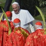<b>Palm Sunday -</b> On the Sunday before Easter, palm leaves and olive branches are placed outside houses and on Easter cakes, while the Pope addresses the crowds in St Peter's Square in Rome. Photo: Vincenzo Pinto/AFP