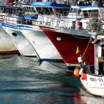 Four feared dead after fishing boat capsizes