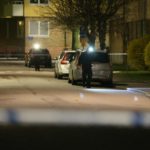 Two remanded for Gothenburg gang murder