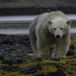 Arctic site to aid studies amid climate change