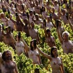 Nude models directed by US photographer Spencer Tunick pose in a Bourgogne (Burgundy) wineyard near Macon, central-eastern France, on October 3, 2009, for a giant photograph during an operation with Greenpeace. The event is organized to call attention on the danger of climatic change.Photo: AFP