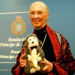 <b>Jane Goodall</b>‏: The English primatologist was honoured in 2003 for Technical and Scientific achievement.
Photo: Fundación Princesa de Asturias