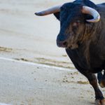 Rampaging bull injures 11 at fiesta in Spain