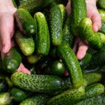 Minimum wage threatens Germany’s fave pickles