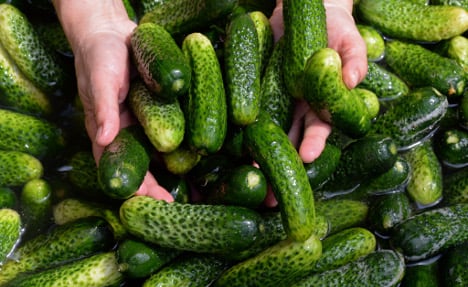 Minimum wage threatens Germany's fave pickles