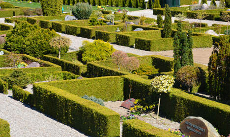 Danish children's graves looted