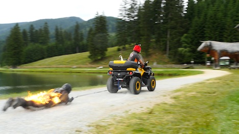 Austrian stuntman breaks world fire records