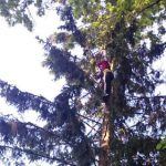 Terrified mum rescues boy stuck up tall tree