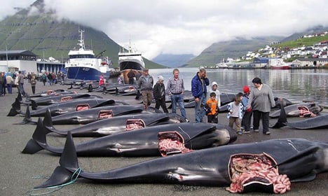Activists launch anti-whaling action in Faroes