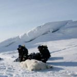 Norway polar bear puts dolphin in the freezer