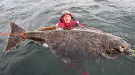 Man in Norway catches fish too big for boat