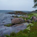 <p>
	Read more -&nbsp;<a href="http://www.thelocal.se/20150615/harstena-life-on-swedens-secret-islands-ostergotland-archipelago-tlccu" style="text-decoration: none; color: rgb(245, 112, 0); font-family: arial, helvetica, clean, sans-serif; font-size: 12.8000001907349px;">Harstena: Life on Sweden&#39;s secret islands</a></p>Photo: Solveig Rundquist/The Local