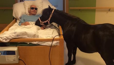 Norwegian man visited in nursing home by pony