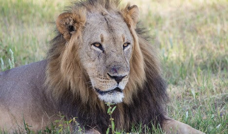 ‘Spaniards hunting lions in Africa are a disgrace’