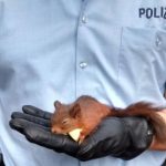 Police put aggressive squirrel behind bars