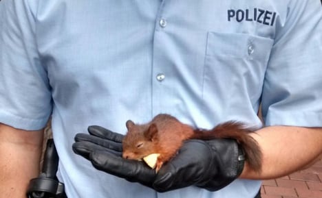 Police put aggressive squirrel behind bars