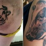 Norway farmer tattoos cow on right buttock