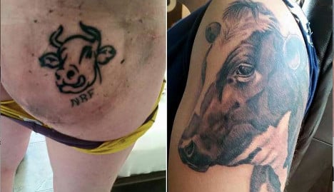 Norway farmer tattoos cow on right buttock